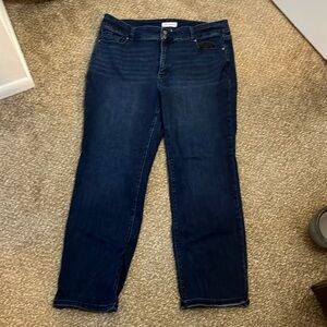 LANE BRYANT High Rise Jeans